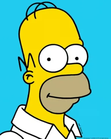 Homer portret